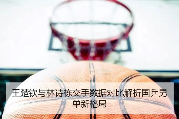 王楚钦与林诗栋交手数据对比解析国乒男单新格局